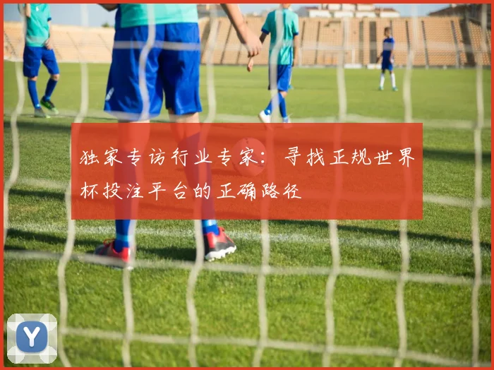 独家专访行业专家：寻找正规世界杯投注平台的正确路径