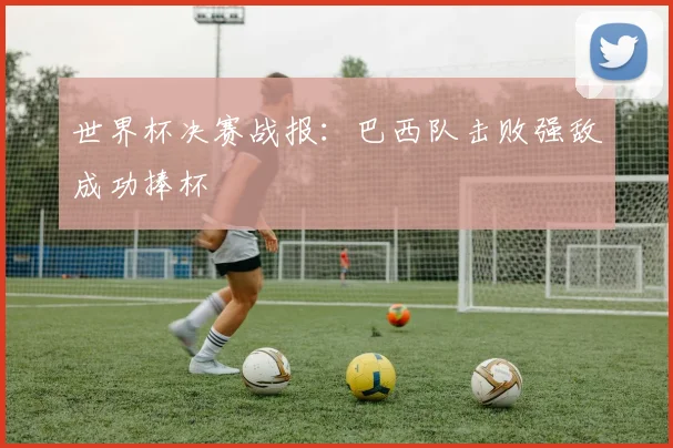世界杯决赛战报:巴西队击败强敌成功捧杯