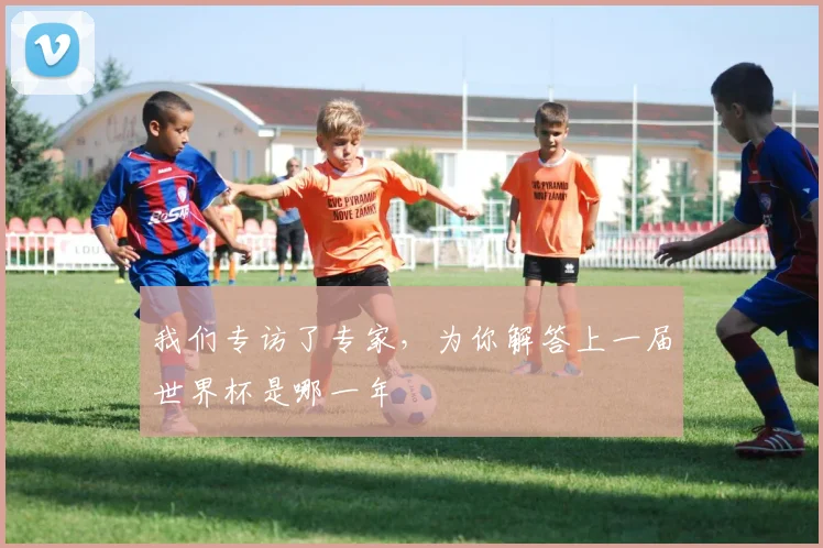 我们专访了专家，为你解答上一届世界杯是哪一年