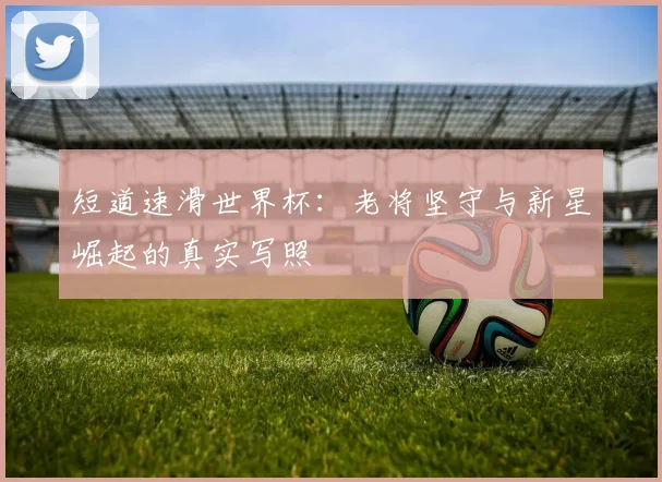 短道速滑世界杯：老将坚守与新星崛起的真实写照
