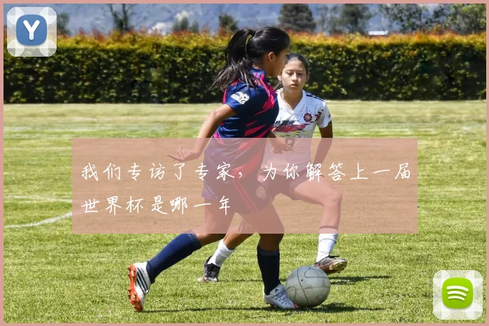 我们专访了专家，为你解答上一届世界杯是哪一年