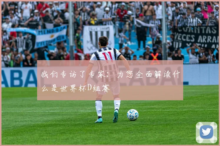 我们专访了专家：为您全面解读什么是世界杯D组赛