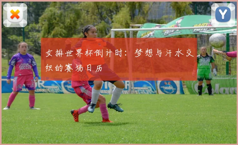 女排世界杯倒计时：梦想与汗水交织的赛场日历